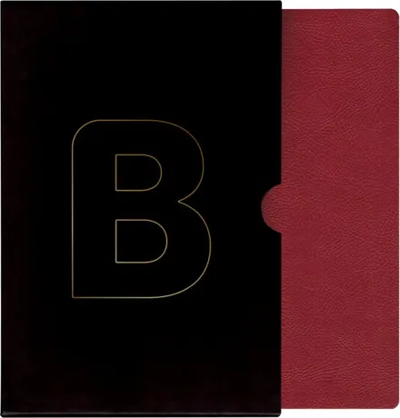 Bible21 XL Bordeaux, velká písmena