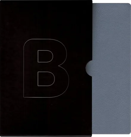 Bible21 XL Sky, velká písmena