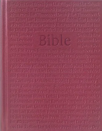 Bible ČEP DT rodinná