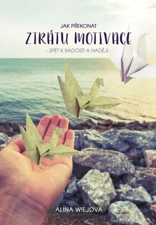 Jak překonat ztrátu motivace, Alina Wiejová
