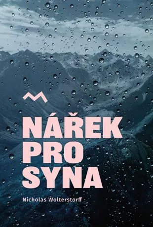 Nářek pro syna, Nicholas Wolterstorff