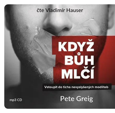 MP3 Když Bůh mlčí