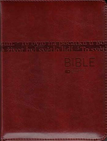 Bible ČEP DT malá se zipem
