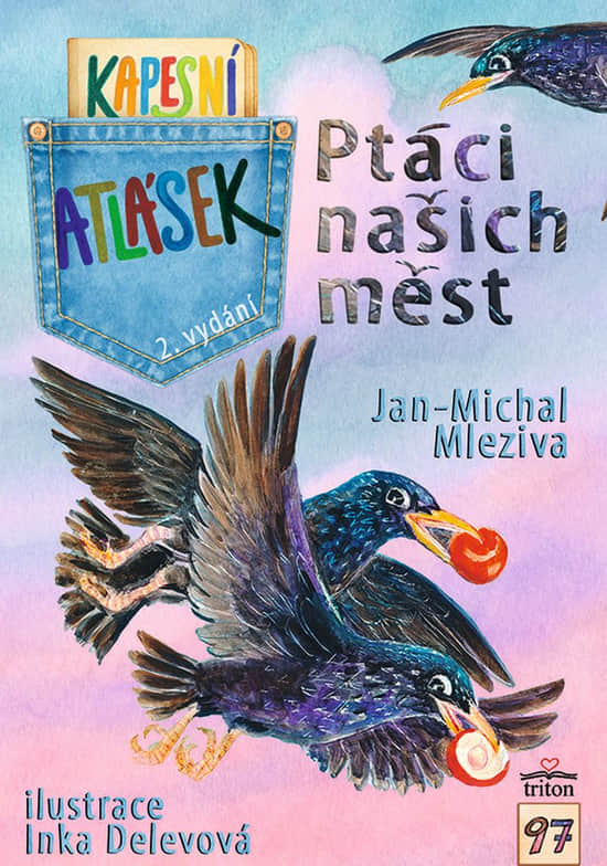 Ptáci našich měst