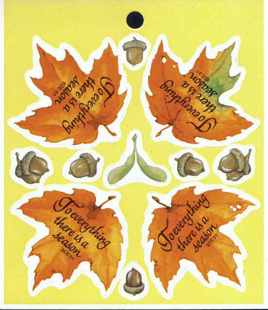 S 000 Fall Season (11)