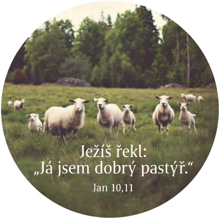 Magnetka - Jan 10,11 (ovce)